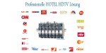 Hotel Sat auf Kabel Kopfstation Set 24.2 CI (International >130 Sender inkl. ORF HD Komplett)